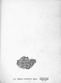 Icmadophila ericetorum image